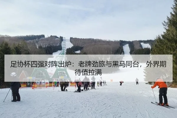 足协杯四强对阵出炉：老牌劲旅与黑马同台，外界期待值拉满